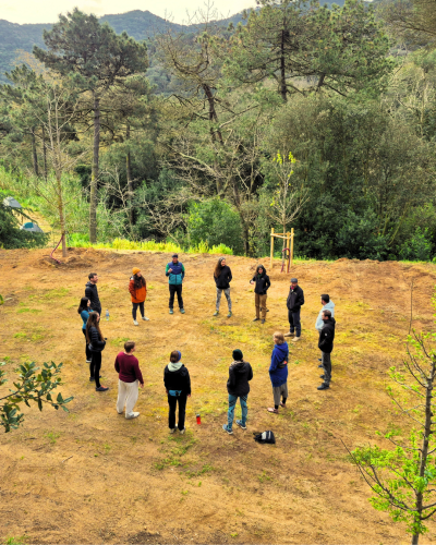 Team Building en Catartia Team Building en Catartia